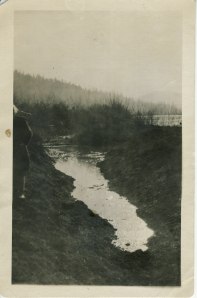 Taking Ohop Valley from Swamp to Pastures in 1889