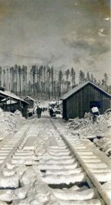 Snowy Logging camp